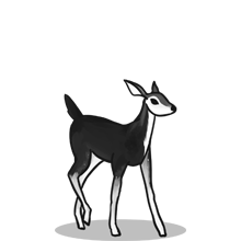 【下载地址分享】高速稳定的{固定网站名称23}